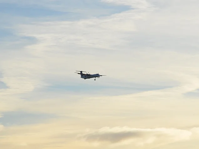 Plane in the early morning sky