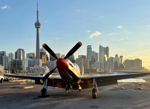 plane with the CN tower and Toronto city skyline behind.